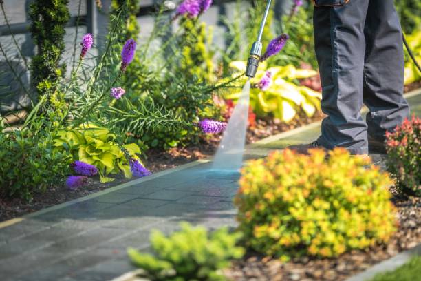 Best Patio and Deck Pressure Washing  in Depoe Bay, OR